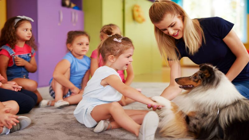 Therapy Dogs