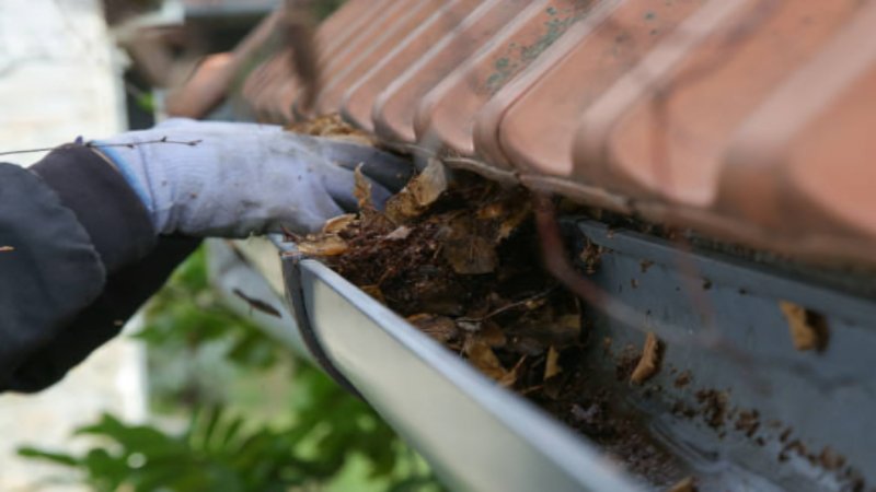 Professional Gutter Cleaning