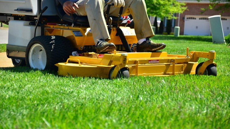 Professional Lawn Maintenance Services